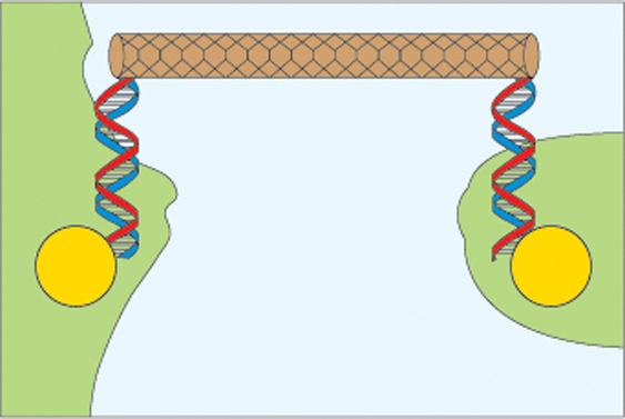 Spinning off DNA